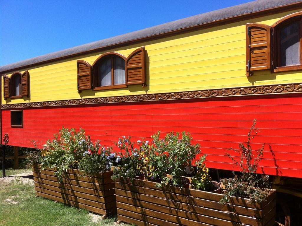 Residence Mas Du Tadorne Saintes-Maries-de-la-Mer Rum bild